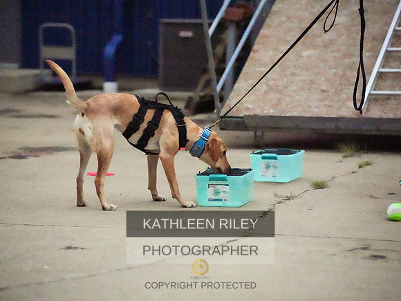 2022-KathleenRileyPhotography-348