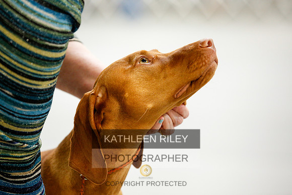 2022-KathleenRileyPhotography-9816