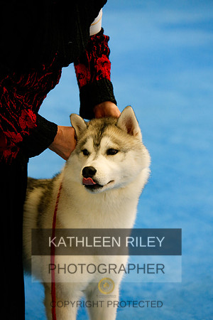 2022-KathleenRileyPhotography-7839