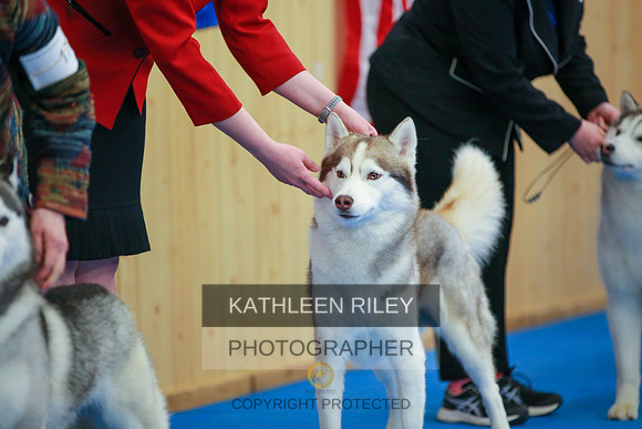 2022-KathleenRileyPhotography-6078