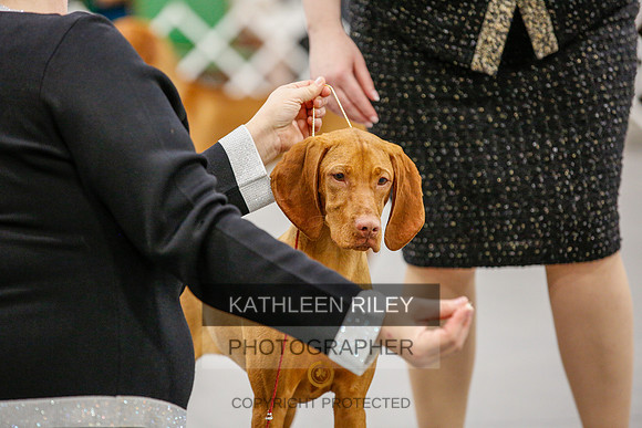 2022-KathleenRileyPhotography-1743