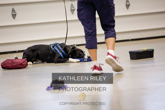 2022-KathleenRileyPhotography-7422