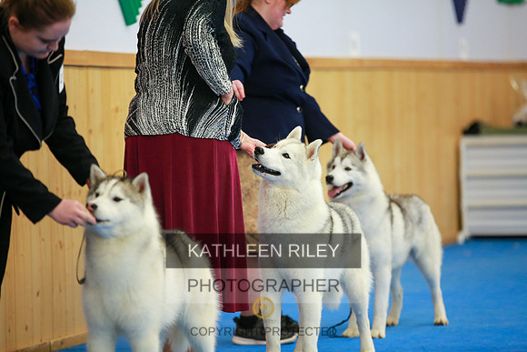 2022-KathleenRileyPhotography-6076