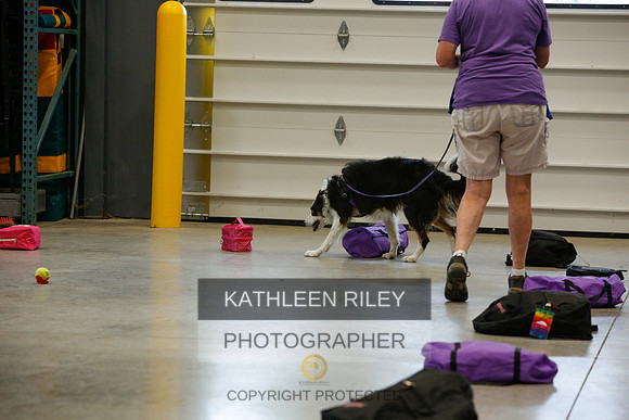 2022-KathleenRileyPhotography-4916
