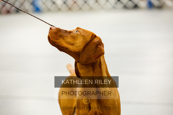 2022-KathleenRileyPhotography-9800