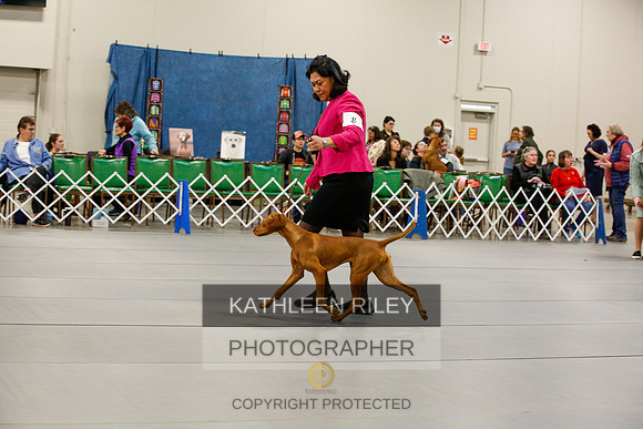 2022-KathleenRileyPhotography-0687