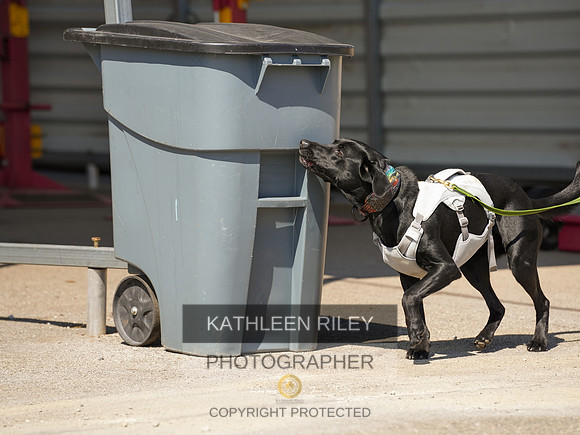 2022-KathleenRileyPhotography-04117