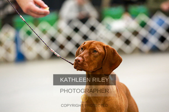 2022-KathleenRileyPhotography-8781