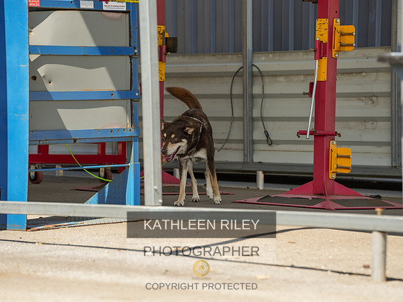 2022-KathleenRileyPhotography-04243