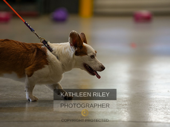 2022-KathleenRileyPhotography-03753