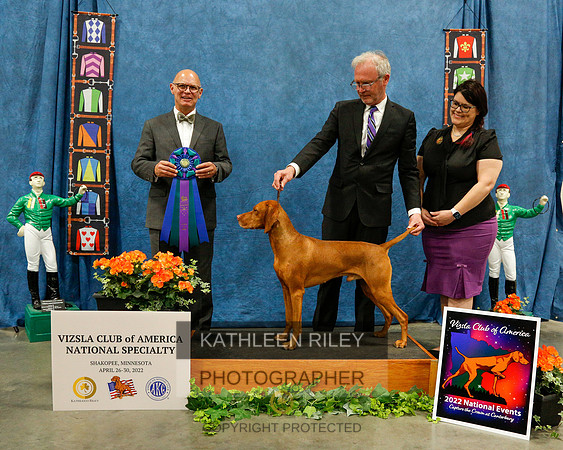 2022-KathleenRileyPhotography-6477