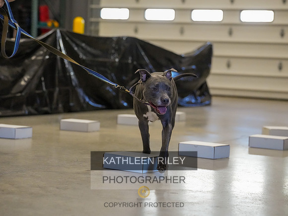 2022-KathleenRileyPhotography-03861