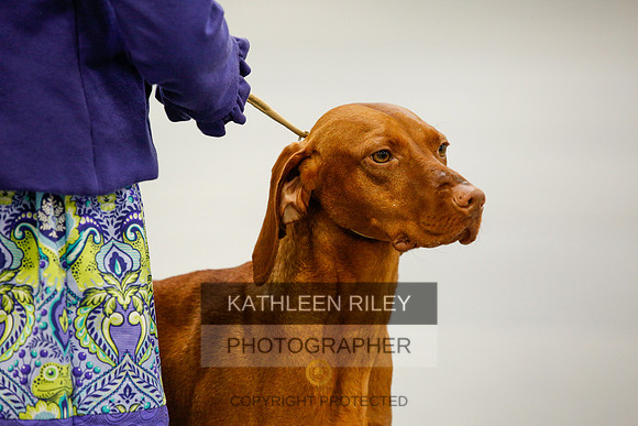 2022-KathleenRileyPhotography-9924