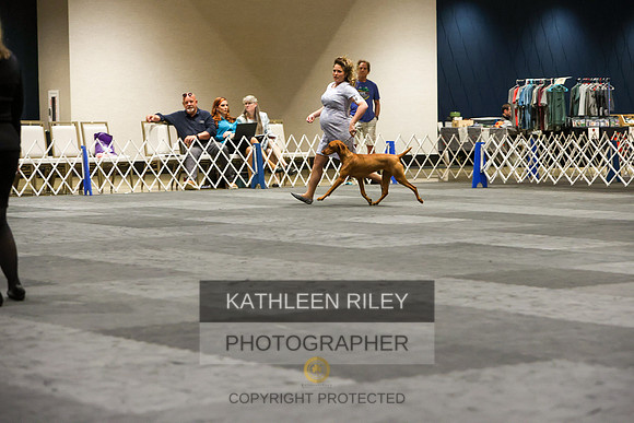 1N5A1029
