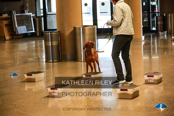 2022-KathleenRileyPhotography-7346