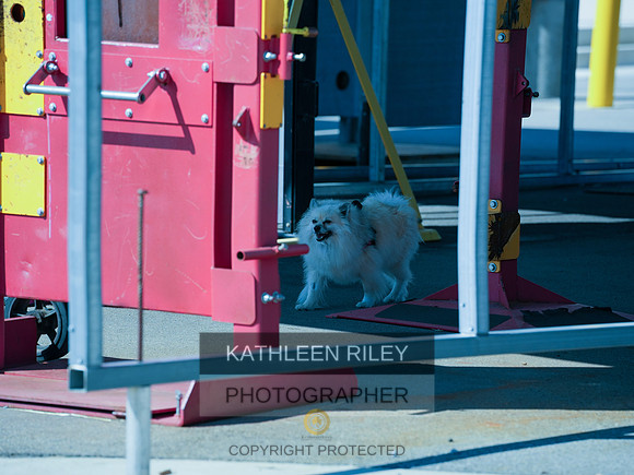 2022-KathleenRileyPhotography-03908