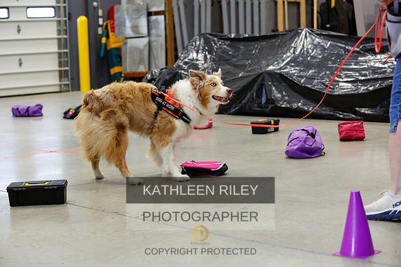 2022-KathleenRileyPhotography-7124
