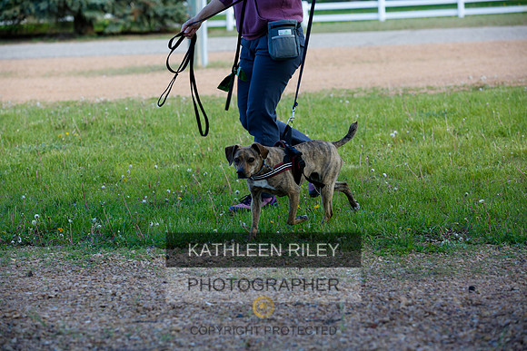 2022-KathleenRileyPhotography-4002