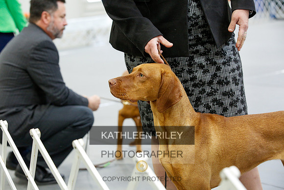 2022-KathleenRileyPhotography-9636