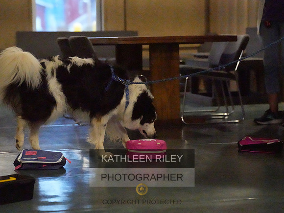 2022-KathleenRileyPhotography039