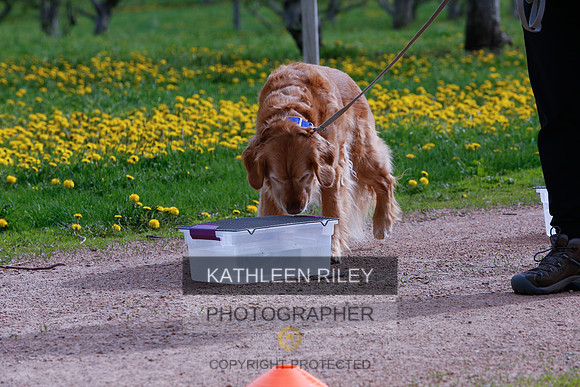 2022-KathleenRileyPhotography-8472