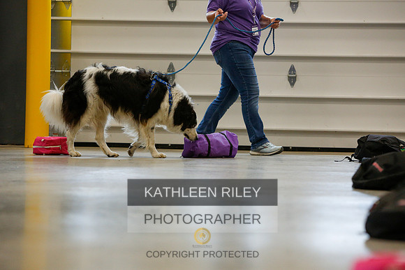 2022-KathleenRileyPhotography-5273