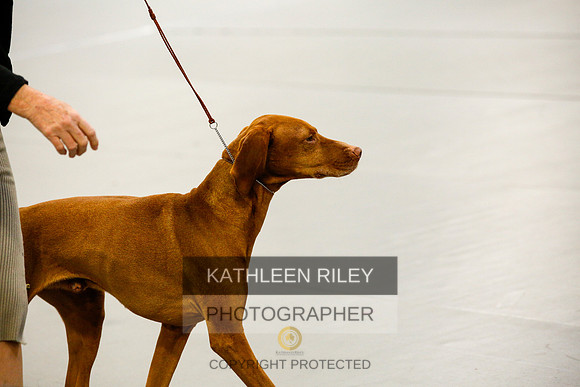 2022-KathleenRileyPhotography-1349