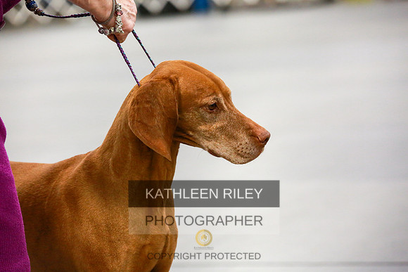 2022-KathleenRileyPhotography-8135