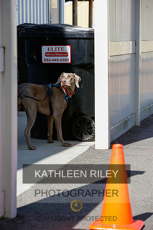 2022-KathleenRileyPhotography-3943