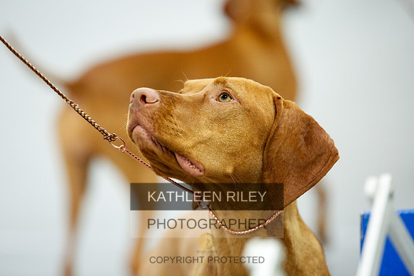 2022-KathleenRileyPhotography-9473