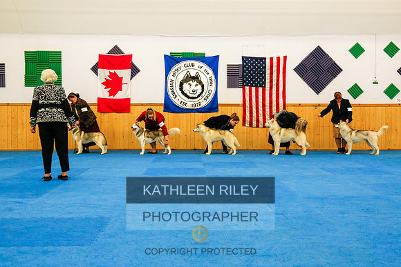 2022-KathleenRileyPhotography-9420