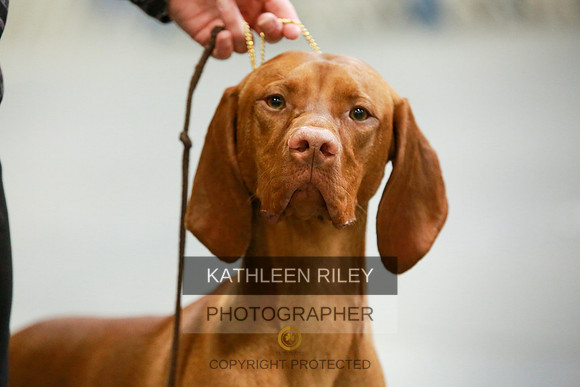 2022-KathleenRileyPhotography-8624