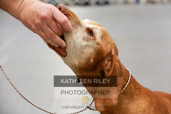 2022-KathleenRileyPhotography-8060