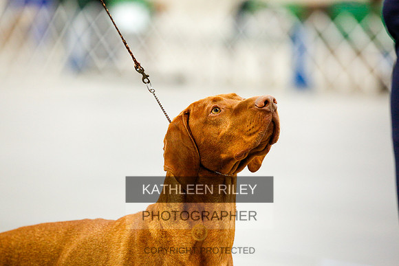 2022-KathleenRileyPhotography-0753