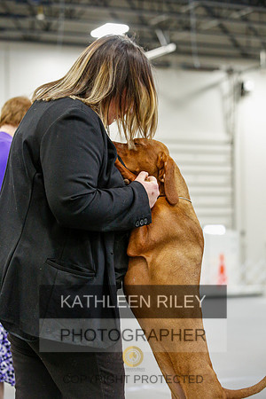 2022-KathleenRileyPhotography-9457