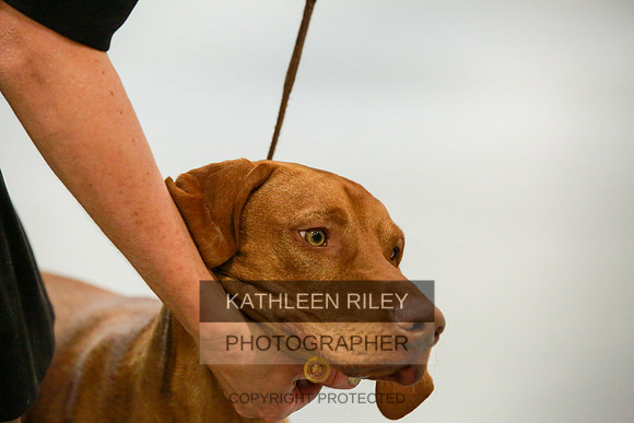 2022-KathleenRileyPhotography-8542