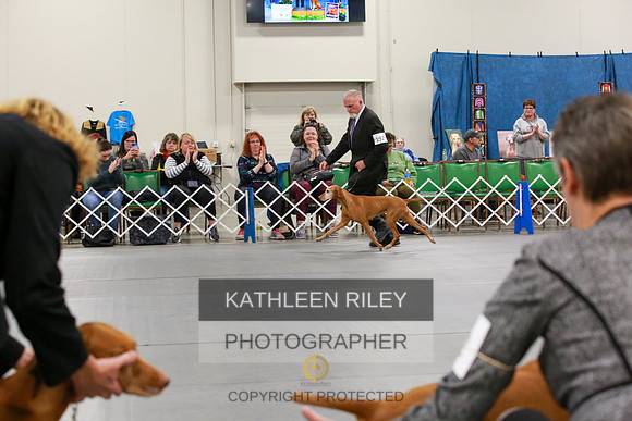 2022-KathleenRileyPhotography-8133