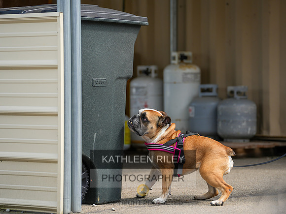 2022-KathleenRileyPhotography-05223