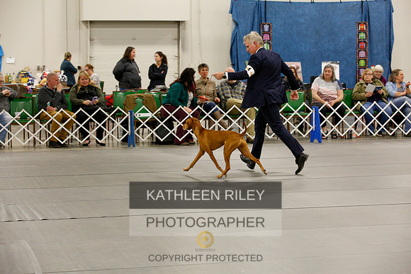 2022-KathleenRileyPhotography-0244