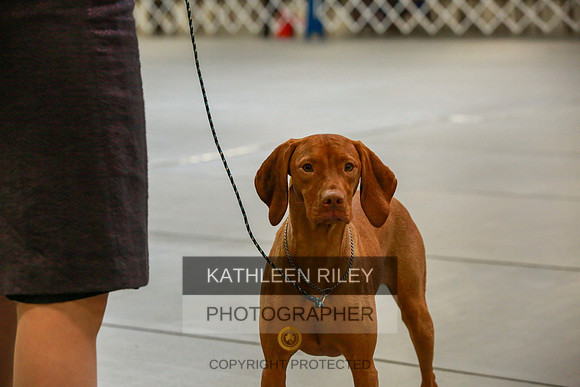 2022-KathleenRileyPhotography-8772
