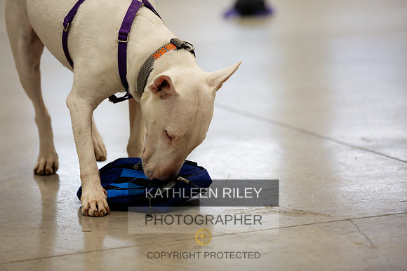 2022-KathleenRileyPhotography-7439