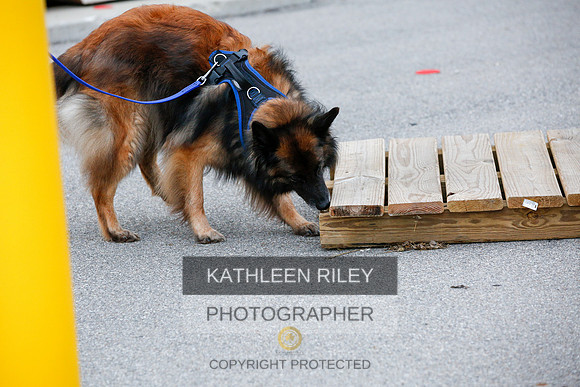 2022-KathleenRileyPhotography-7524