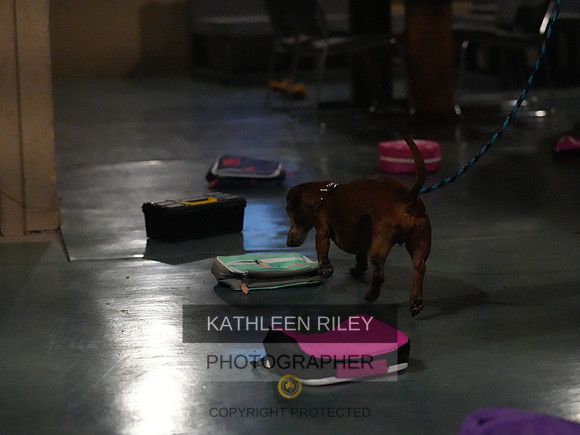2022-KathleenRileyPhotography160