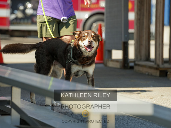 2022-KathleenRileyPhotography-04227