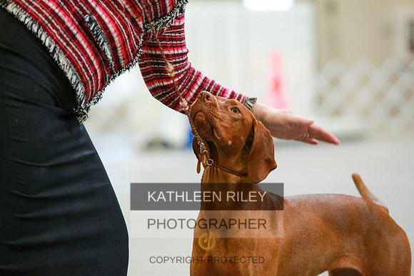 2022-KathleenRileyPhotography-8801