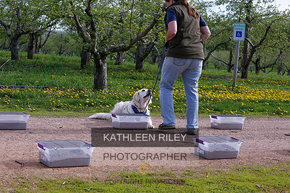 2022-KathleenRileyPhotography-8349