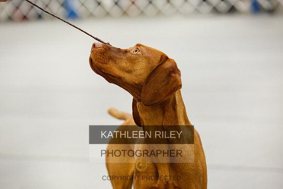 2022-KathleenRileyPhotography-9799