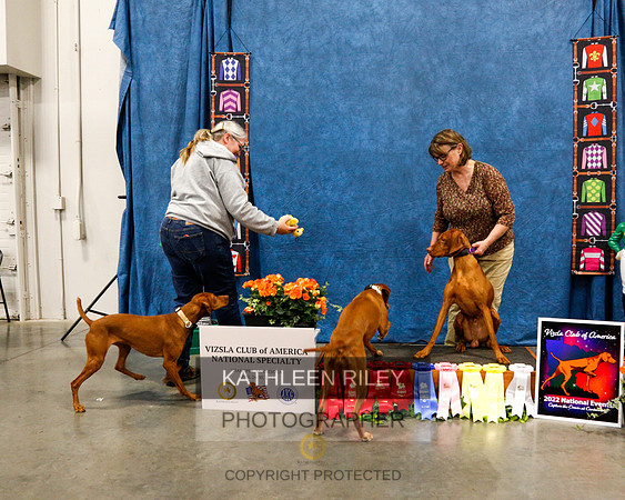 2022-KathleenRileyPhotography-0951
