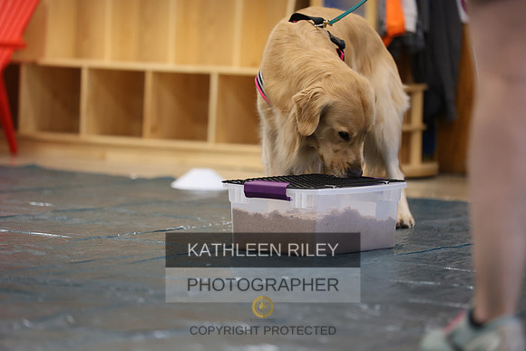 SJLT0452
