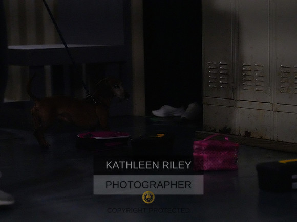 2022-KathleenRileyPhotography166
